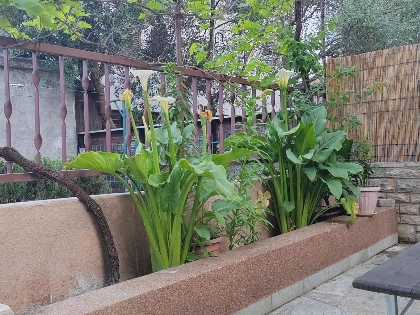 Apartman Oli Zadar Dış mekan fotoğraf